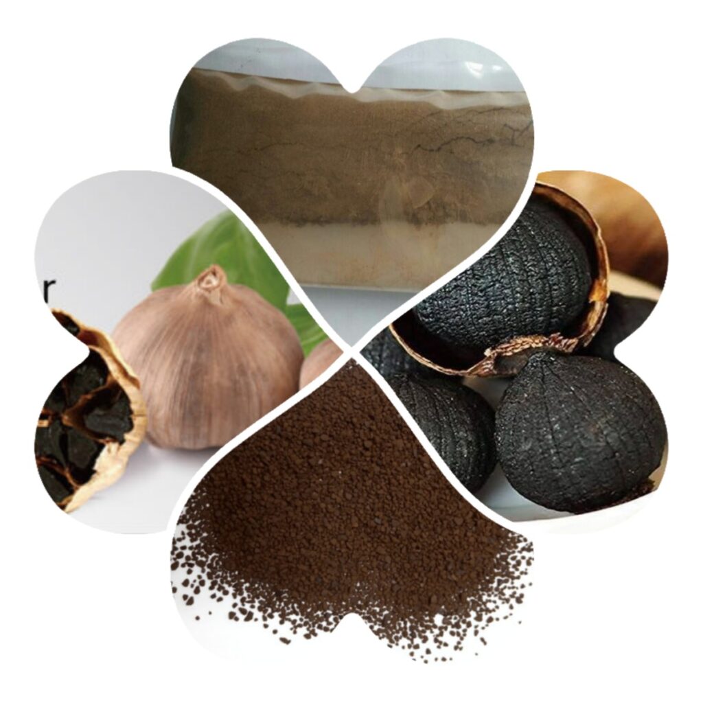 blackgarlicproduct