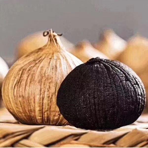 solo black garlic